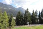  Montalin (451 Ti) Whg. 1. Stock Valbella - 