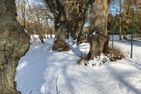  Seeblick Warin Sternberg/Warin - Landschaft