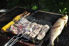  (1) Graues Sommerhaus in Schweden am See mit Boot Smaland - 