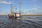  GrachtenFlair Greetsiel/Krummhörn - Landschaft