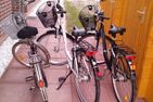  Sailor Norden/Norddeich - Fitness