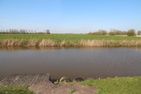  Wiesenblick Fenja Greetsiel/Krummhörn - Meerblick