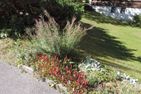  ZZZ_inaktiv_Ladina 65 (319 St) *** Lenzerheide - 