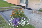  ZZZ_inaktiv_Ladina 65 (319 St) *** Lenzerheide - 