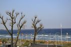 Seetempel Seetempel Appartement 45 Scharbeutz - Meerblick