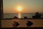 Feriendomizil Strandblick Feriendomizil Strandblick Appartement 1 MeerBlick Haffkrug - Meerblick