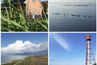  Meer & Mehr Greetsiel/Krummhörn - Landschaft