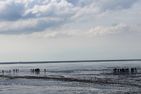  Meer & Mehr Greetsiel/Krummhörn - Landschaft
