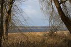  Ruth Sternberg/Warin - Landschaft