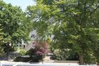 Villa Stern Villa Stern Appartement 9 Timmendorfer Strand - Nachbarschaft