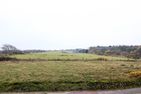  Kleine Buhne Wenningstedt - Braderup - 