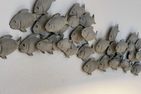  Margeritenhaus Westerland - 