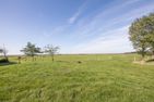 Maashof Nordseeblick Husum - 