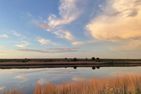  Am Deich Greetsiel/Krummhörn - Landschaft