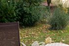  Am Deich Greetsiel/Krummhörn - Garten