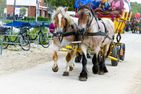 Haus Frische Brise 1508 Cuxhaven Sahlenburg - Sport / Aktivitäten