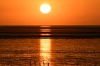 Am Sahlenburger Strand AS24 Cuxhaven Sahlenburg - Landschaft