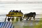 Flockengrund HB22 Cuxhaven Sahlenburg - 