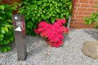Flockengrund V15U Cuxhaven Sahlenburg - Gartenblick