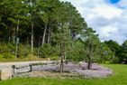 Land und Meer LM23 Cuxhaven Sahlenburg - Landschaft