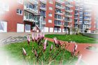 Haus Nordseebrandung NB72 Cuxhaven Sahlenburg - Fassade / Eingang