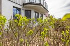 Strandhaus Wustrow Strandhaus Wustrow - Wohnung 1 Ostseebad Wustrow - Hauptansicht