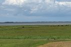  Stüürmanns Huus Norden/Norddeich - Der Naturstrand von Hilgenriedersiel. Am Horizont die Insel Norderney.