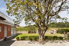  Strandhaus Claassen Ostseebad Ahrenshoop - 