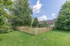  Friesenkrabbe Almdorf - 