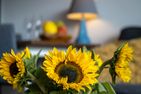 Abendsonne Wenningstedt - Braderup - 