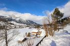 Ferienwohnung Rainli UHA-5 Untere Haltenstrasse 5 Lenk im Simmental - 