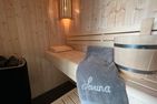  Hansehaus Whg. 8 inkl. WLAN und Sauna Grömitz - Sauna