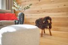  Hüttenzauber Garmisch-Partenkirchen - Wohnzimmer