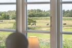  Haus Deichblick 1 Dunsum - 