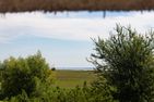 Künstlerhaus Rosenthal Künstlerhaus Rosenthal 02 Ostseebad Ahrenshoop - Landschaft