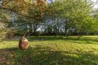 Kastanienhof Sanddorn Wisch - 
