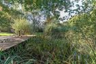 Kastanienhof Sanddorn Wisch - 