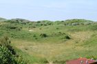 Haus Braun Dünenstübchen Loog - Landschaft