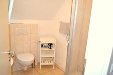  Kegelrobbe Wyk - 