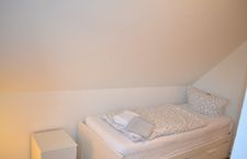  Kegelrobbe Wyk - 