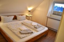  Kegelrobbe Wyk - 