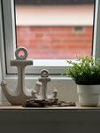  Ferienhaus Maya Am Yachthafen 105 Harlesiel - 
