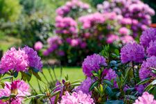 Wohnpark Werdum Wohnpark Warfstr. 7/3 Werdum - 