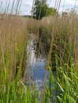  Haus Wellenrauschen Fischland-Darss-Zingst - 