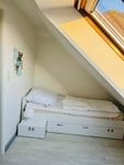  Ferienhaus Harlehus Pumphusen 15 Carolinensiel - 