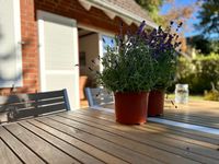  Strandgut Fischland-Darss-Zingst - 