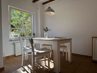  Strandgut Fischland-Darss-Zingst - 
