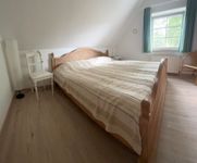  Strandgut Fischland-Darss-Zingst - 