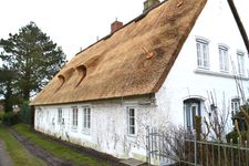  Vogelkoje OG Oevenum - 