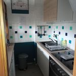 Ferienpark Sierksdorf Ostseeparadies Mystic Sierksdorf - Küche / Küchenzeile